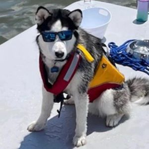 Meet your Posher, Robin